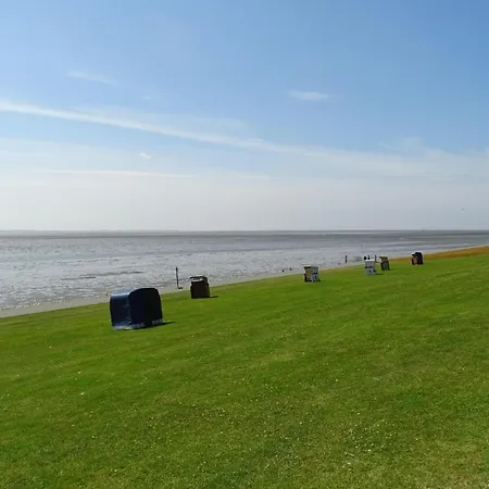 Cozy In With Sauna Daire *